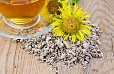 Une décoction de racine de tournesol élimine les sels du cartilage articulaire en cas d'ostéochondrose thoracique